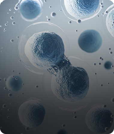 Illustration of cells